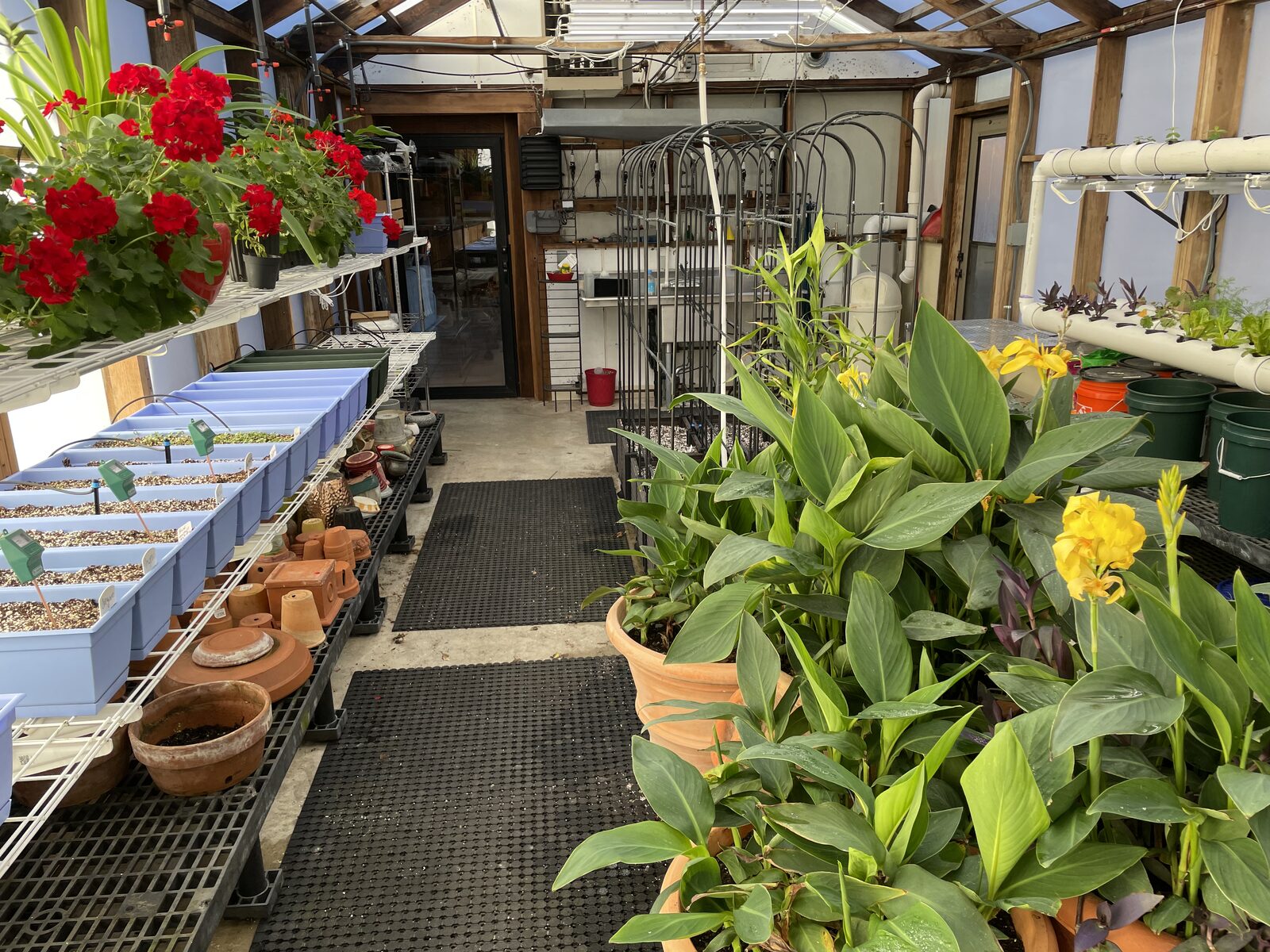 Greenhouse interior showing plants, hydroponic channels, service wall, and overhead infrastructure