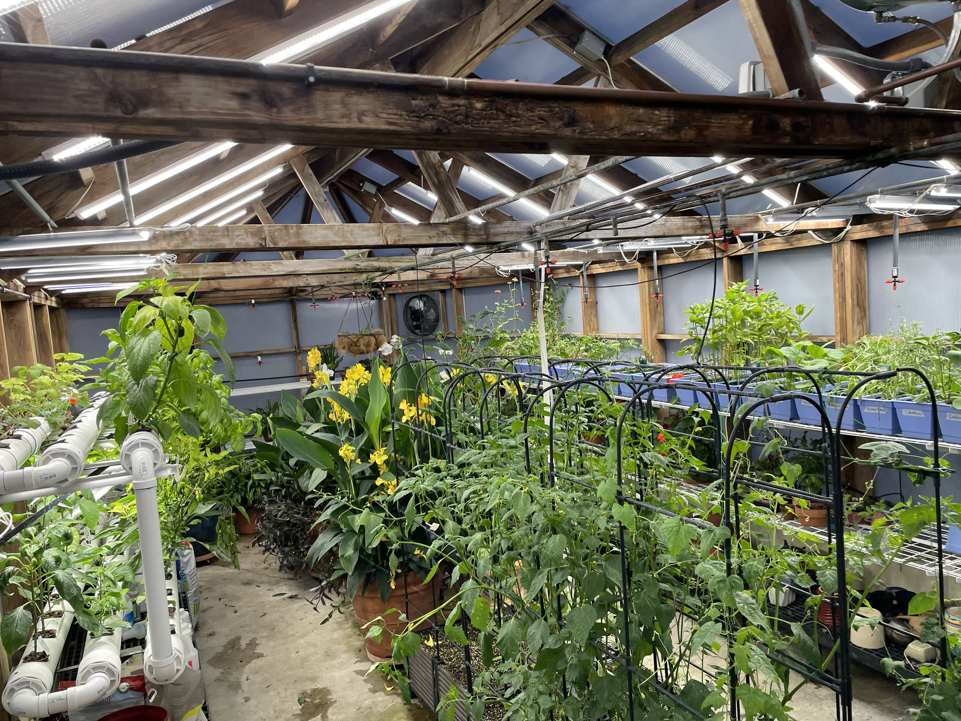 Greenhouse interior with grow lights, hydroponic channels, and production shelving