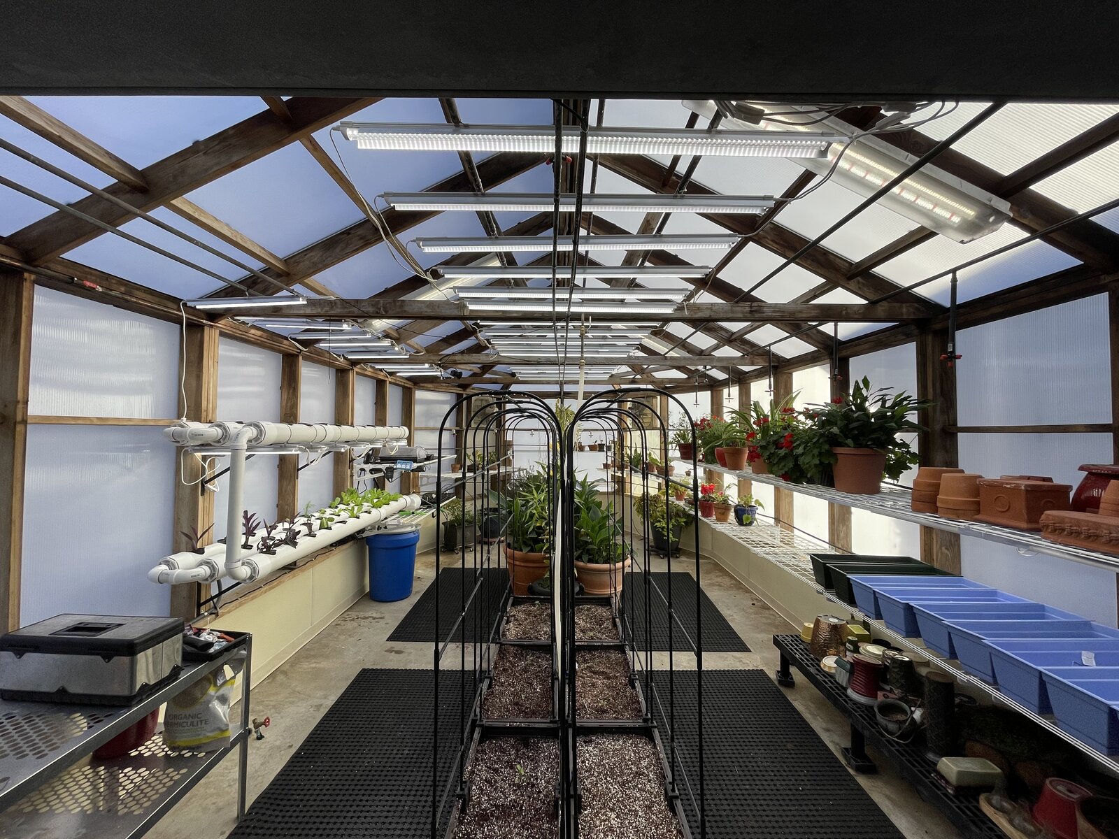 Linear LED grow bars suspended from the roof ridge, illuminating the production aisle and hydroponic channels